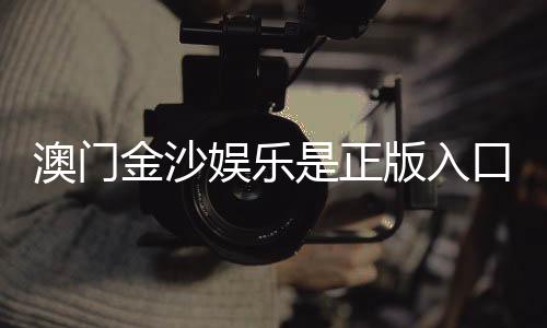 澳门金沙娱乐是正版入口吗？揭秘官网安全性与游戏体验