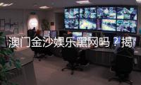 澳门金沙娱乐黑网吗？揭秘其安全性及玩家真实体验