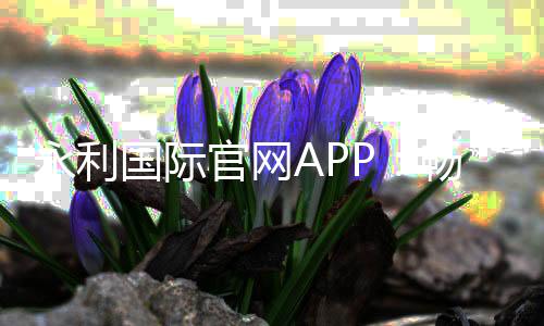 永利国际官网APP：畅享棋牌娱乐投注与电子游艺乐趣