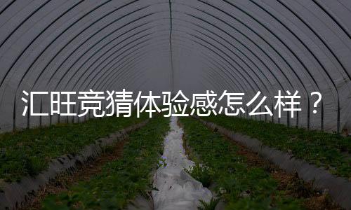 汇旺竞猜体验感怎么样?资深玩家分享真实测评与心得