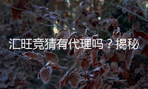 汇旺竞猜有代理吗？揭秘代理加盟条件与流程