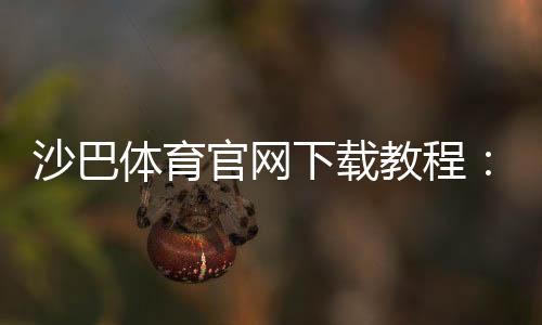沙巴体育官网下载教程：官方最新版安卓苹果安装与注册全攻略