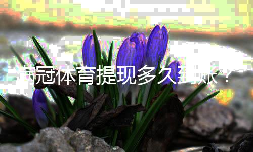 满冠体育提现多久到账？到账时间、常见延迟原因与加速方法详解