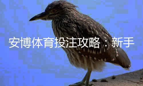 安博体育投注攻略：新手注册、充值、玩法规则与风险提示