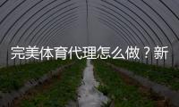 完美体育代理怎么做？新手从注册到运营的全流程与盈利技巧详解