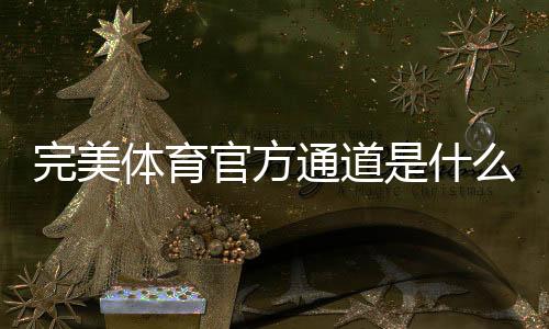 完美体育官方通道是什么?最新入口、登录与安全验证全解析