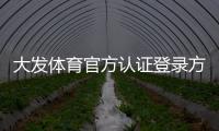 大发体育官方认证登录方法详解：正版入口、安全认证与快速登录指南