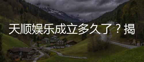 天顺娱乐成立多久了?揭秘其发展历程与品牌故事
