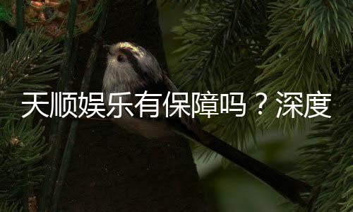 天顺娱乐有保障吗？深度解析平台安全性与玩家真实体验