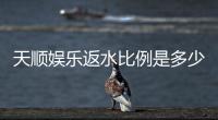 天顺娱乐返水比例是多少？揭秘高返水福利与实战技巧