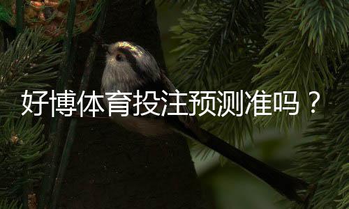 好博体育投注预测准吗?专业评测、真实数据与用户口碑全解析