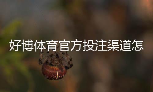 好博体育官方投注渠道怎么找?正规入口、注册充值与安全识别完整指南
