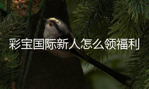 彩宝国际新人怎么领福利:完整指南