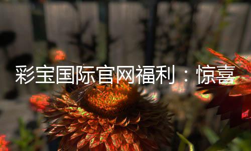 彩宝国际官网福利:惊喜不断优惠精彩