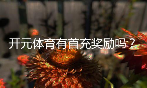 开元体育有首充奖励吗?新人注册充值福利大揭秘