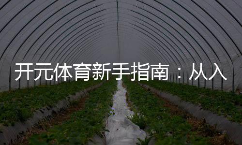 开元体育新手指南:从入门到精通的完整攻略