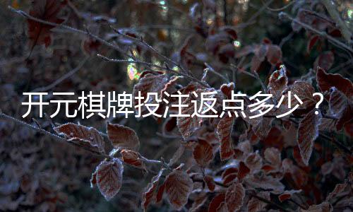 开元棋牌投注返点多少？揭秘高返水优惠与实战技巧