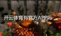 开云体育有官方APP吗？真相揭晓：官方下载入口、iOS安卓安装与使用安全指南