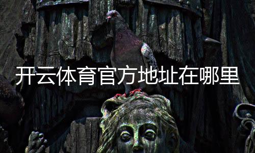 开云体育官方地址在哪里?最新官网入口、识别方法与安全访问指南
