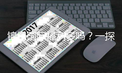 锦绣国际福利多吗?一探究竟