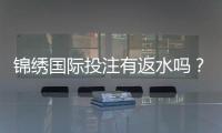 锦绣国际投注有返水吗？揭开投注回馈的神秘面纱
