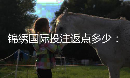 锦绣国际投注返点多少:最新优惠一览
