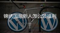 锦绣国际新人怎么领福利：详细教程