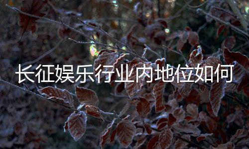 长征娱乐行业内地位如何?揭秘其市场影响力与玩家口碑