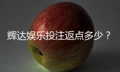 辉达娱乐投注返点多少？揭秘高返水福利与实战技巧