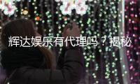 辉达娱乐有代理吗？揭秘代理合作流程与优势