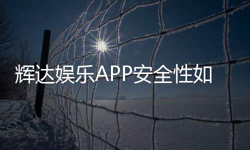 辉达娱乐APP安全性如何？深度解析其资金保障与数据防护措施