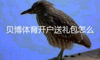 贝博体育开户送礼包怎么领取？最新注册流程、优惠规则与新手领取攻略