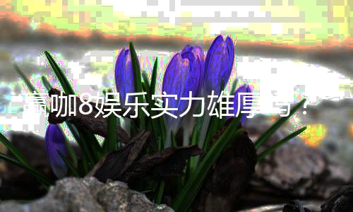赢咖8娱乐实力雄厚吗?深度解析其平台优势与玩家真实体验