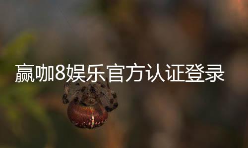 赢咖8娱乐官方认证登录:安全可靠的顶级平台畅玩指南