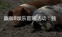 赢咖8娱乐官网活动：独家优惠与精彩赛事等你来参与