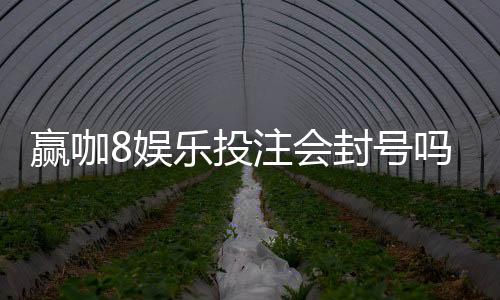 赢咖8娱乐投注会封号吗？揭秘平台风控规则与防封技巧