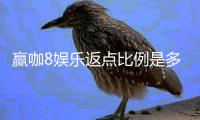赢咖8娱乐返点比例是多少？揭秘高返点背后的秘密与技巧