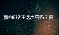 赢咖8投注返水高吗？揭秘高返水优惠的真实体验