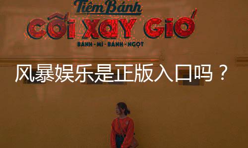风暴娱乐是正版入口吗？揭秘平台资质与安全游戏指南