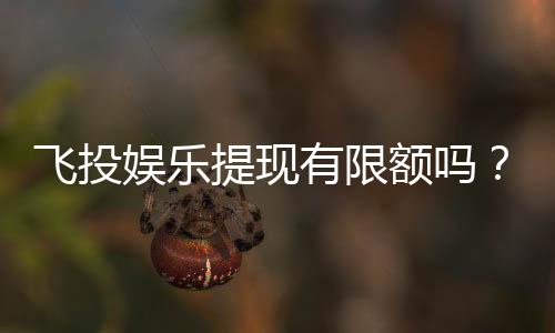 飞投娱乐提现有限额吗？平台提现规则与限额详解