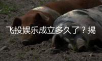 飞投娱乐成立多久了？揭秘平台发展历程与玩家真实体验