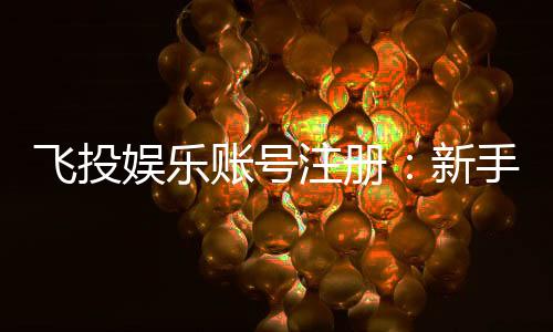 飞投娱乐账号注册：新手必看的快速注册指南