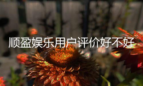 顺盈娱乐用户评价好不好?真实玩家体验与口碑解析