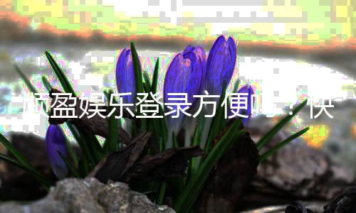 顺盈娱乐登录方便吗?快速注册与流畅体验全解析