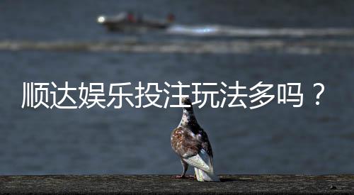 顺达娱乐投注玩法多吗？资深玩家揭秘平台特色与游戏选择