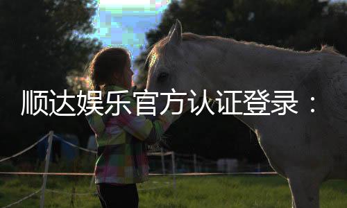 顺达娱乐官方认证登录:安全便捷的一站式游戏入口