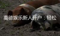 高德娱乐新人开户：轻松注册即享首存礼包与独家优惠