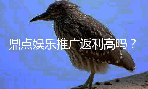鼎点娱乐推广返利高吗?真实玩家解析返利规则与到账速度
