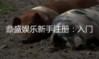 鼎盛娱乐新手注册：入门必知技巧