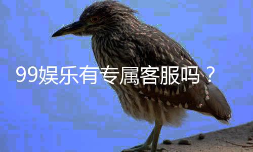 99娱乐有专属客服吗?平台客服体验与联系方式详解
